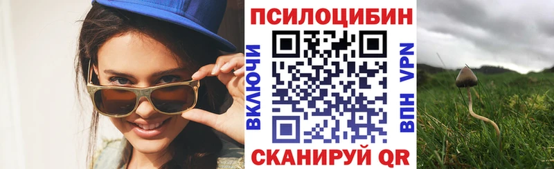 Псилоцибиновые грибы прущие грибы купить закладку Чаплыгин